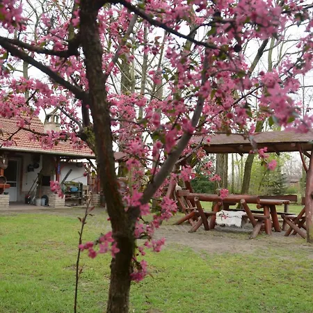 Nemeth Tanya Vendeghaz Country house Pusztaszer