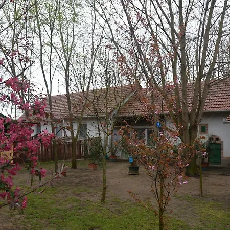 Nemeth Tanya Vendeghaz * Pusztaszer