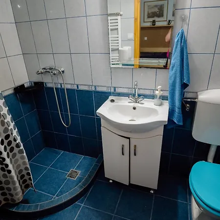 Nemeth Tanya Vendeghaz *