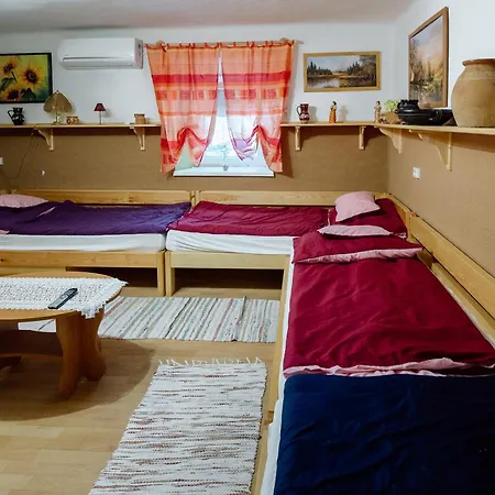 Nemeth Tanya Vendeghaz