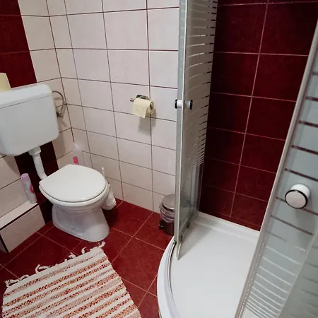 Nemeth Tanya Vendeghaz Pusztaszer