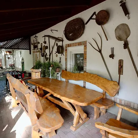 Nemeth Tanya Vendeghaz Pusztaszer