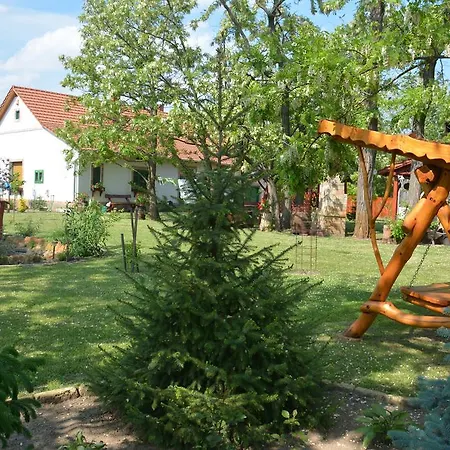 Country house Nemeth Tanya Vendeghaz